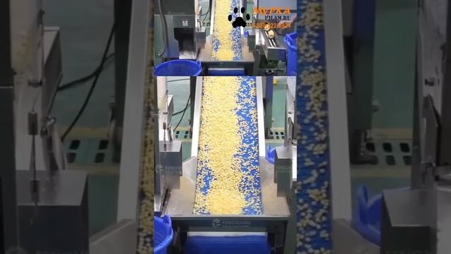 Мурка FX Станок для очистки кукурузы купить на pilam.ru
