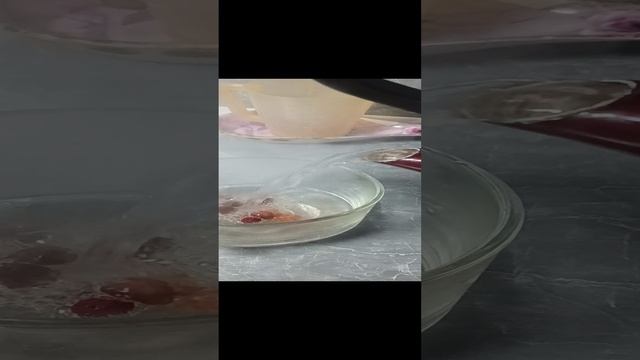 Шиповник снижает уровень сахара крови