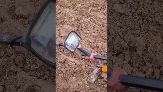 ФЕОФАНОВО ПОЛЕ #кладоискатель