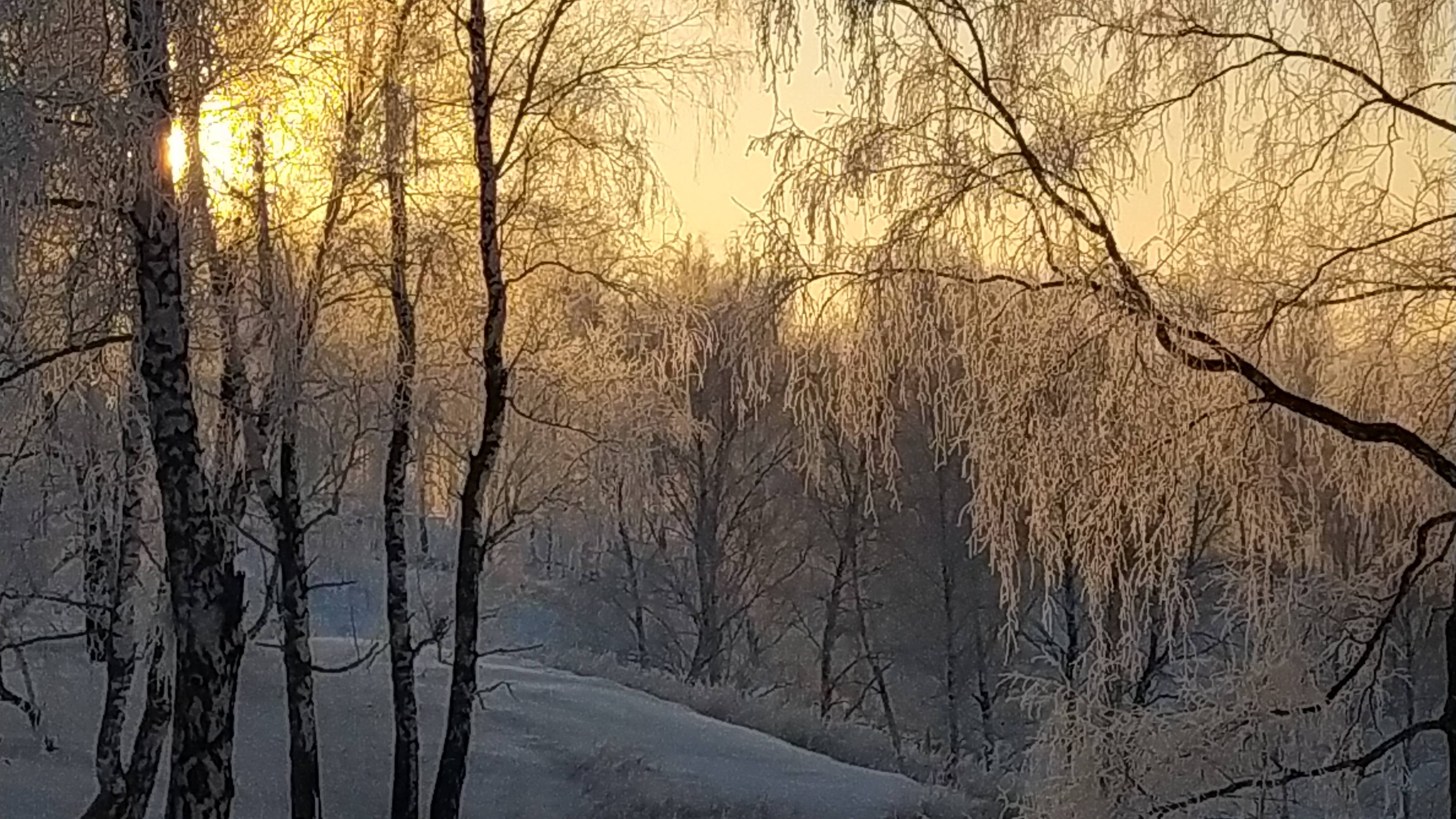 Размышления о любви