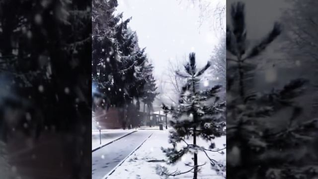 Снег летит. ❄️❄️❄️