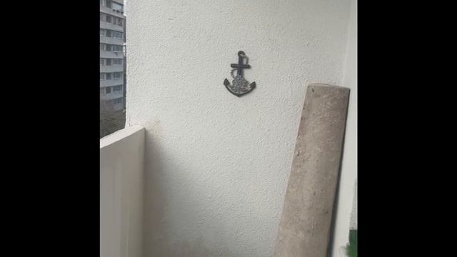 недвижимость Сочи