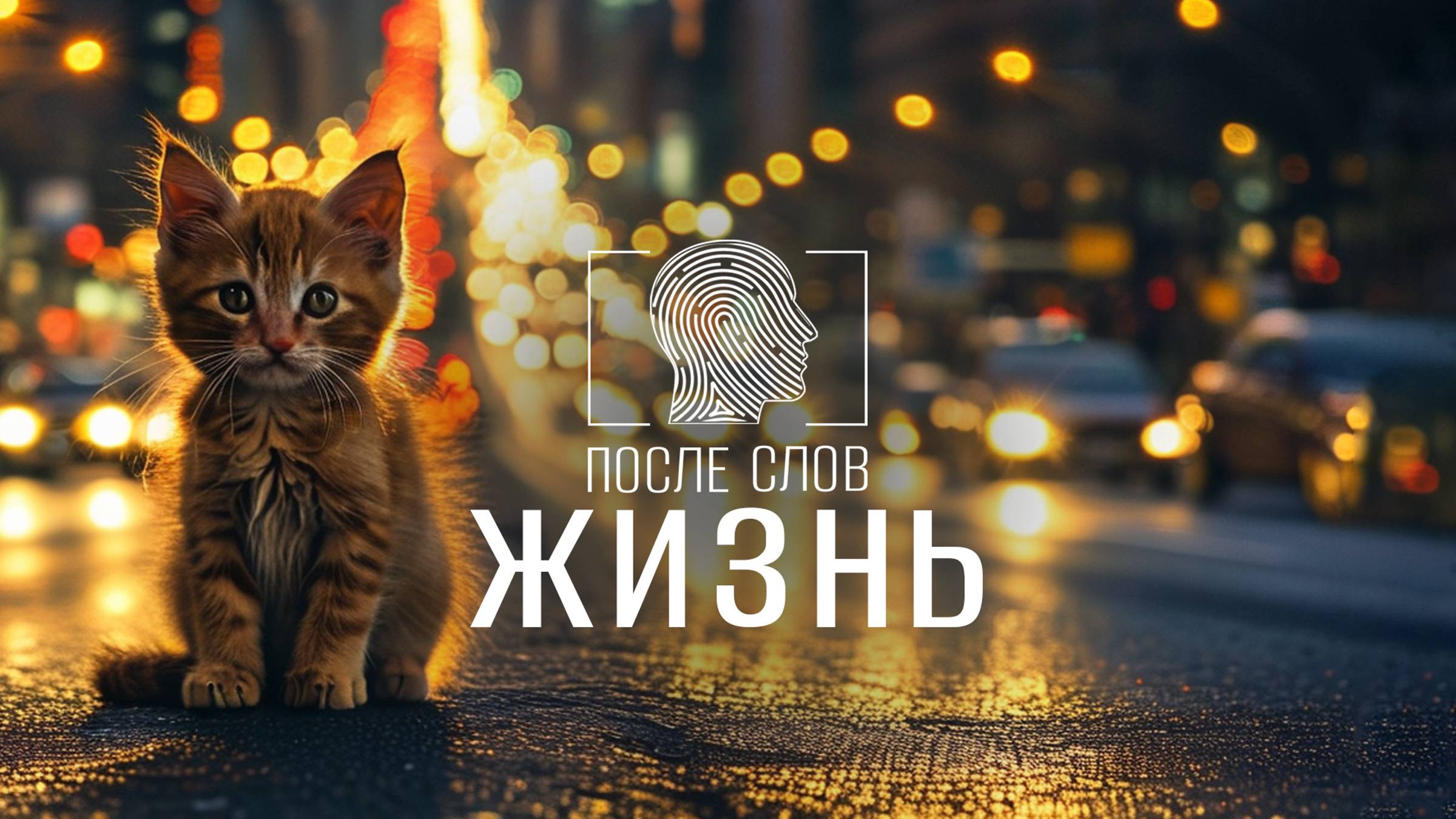 ЖИЗНЬ.  Игра, испытание, подарок, правило, случайность