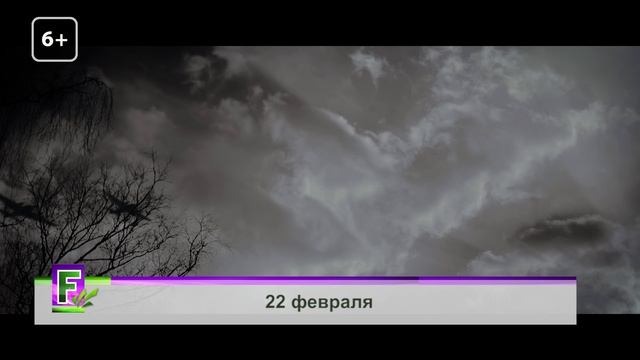 КФ_281124 Максим Олейников