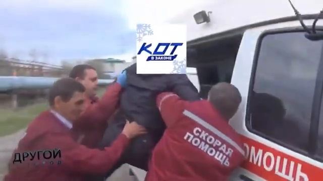 К0Т В ЗАК0НЕ увозят в психушку.mp4