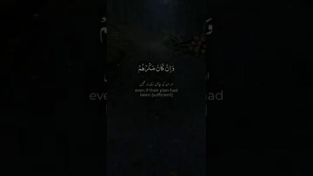 Most beautiful quran recitation