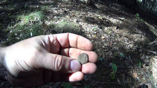 Детский Коп в лесу.