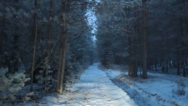 В поисках снега
