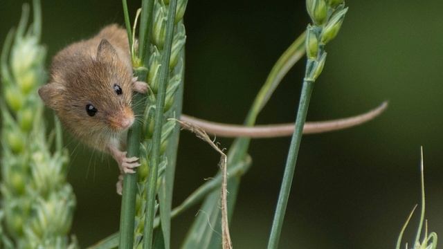 20 тайн древних людей о которых вы даже и не знали.

#Познавательно