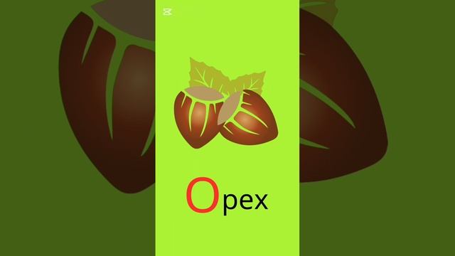 lv_0_20241126145532.mp4