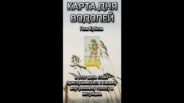 Карта дня ВОДОЛЕЙ. В описании подробно
