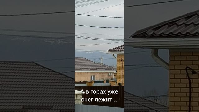 28 ноября. Уходящая осень 2024...