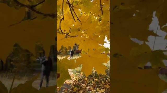 Конкурс декламации. Путинцева Анастасия (Россия).