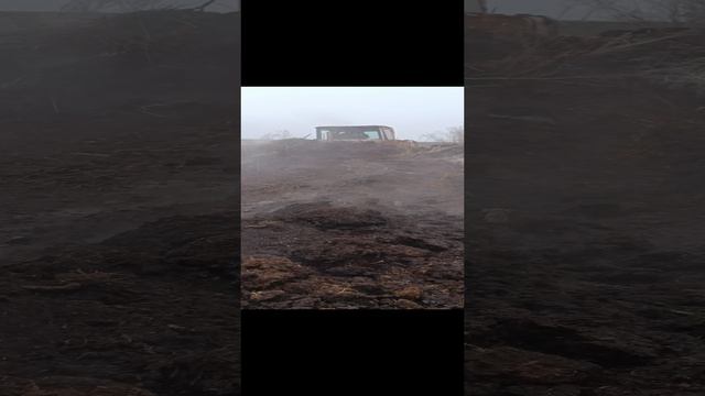 ДТ 75