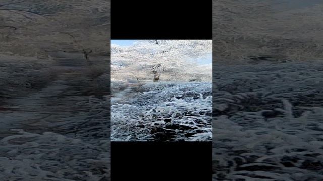 18/ 11/ 2024 Ноябрьская сказка в Черногорске.