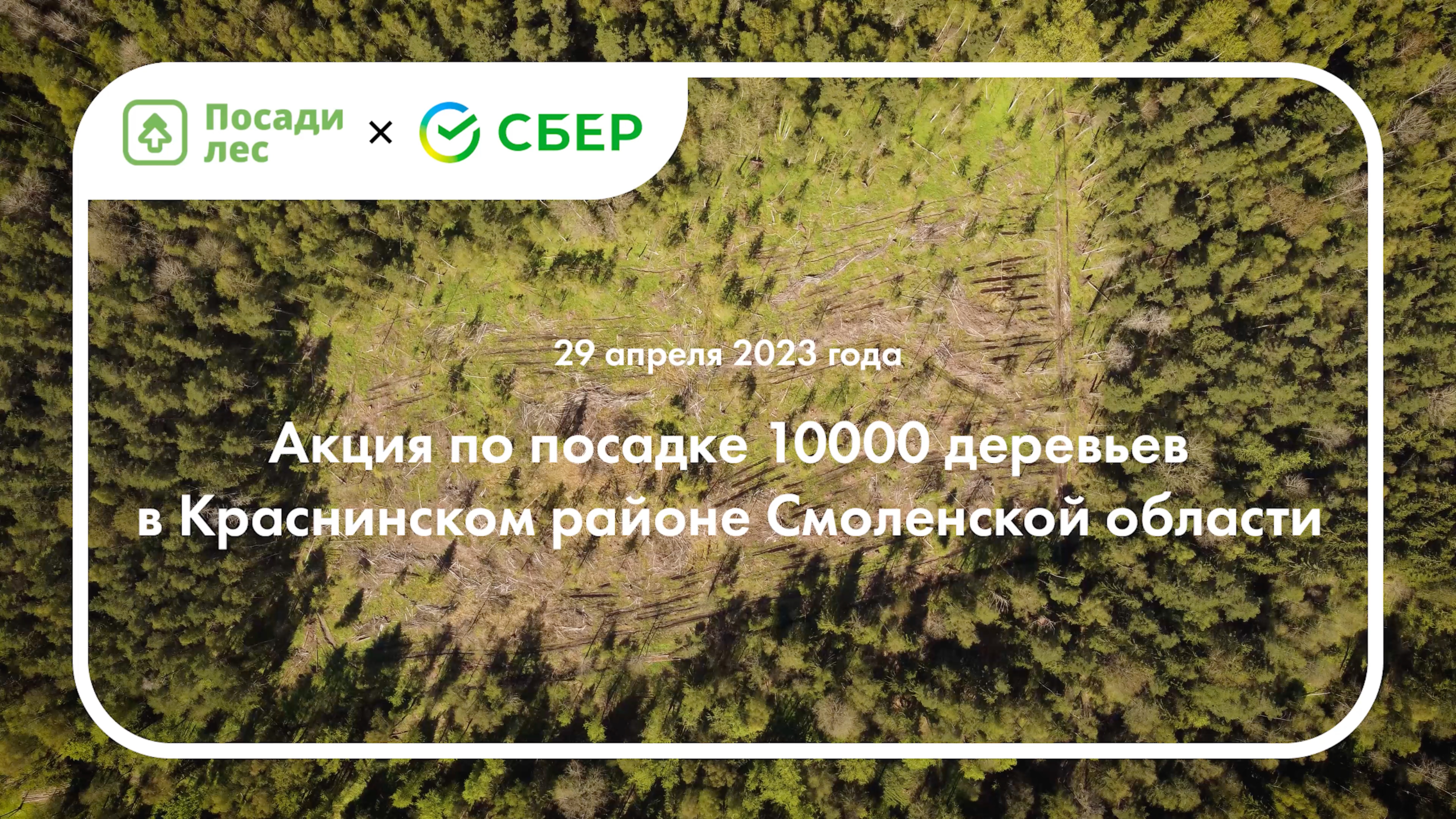 Посади лес