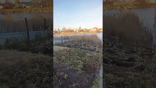 1000037060.mp4