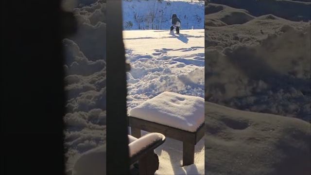 VID-20241124-WA0022.mp4