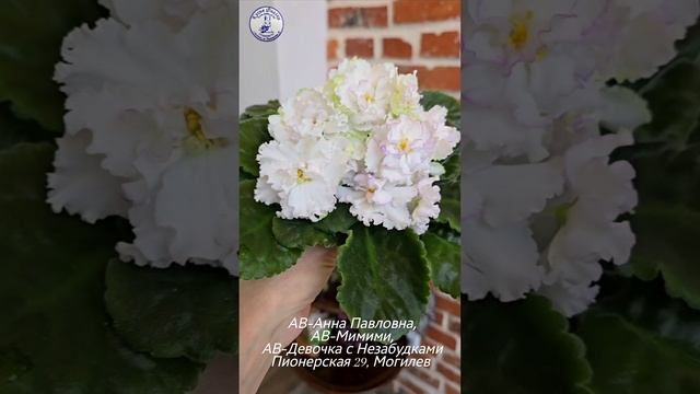 🏫🐇🌸Зима. Едем в студию с замечательными воспитанницами: АВ-Анна Павловна, АВ-Мимими, АВ-Девочка с