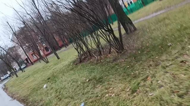 Прогулка по северу.