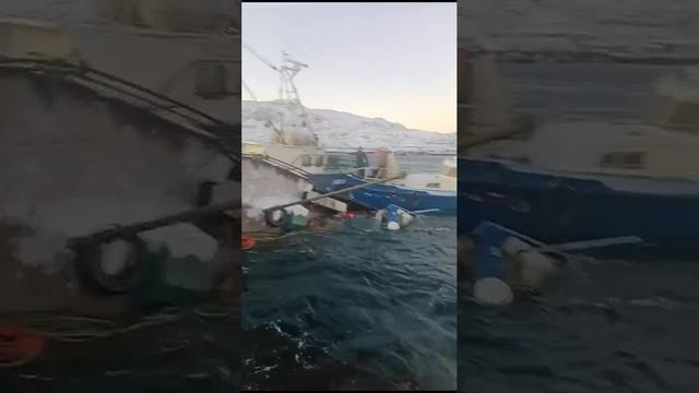 У берегов Териберки в Мурманской области перевернулось прогулочное судно