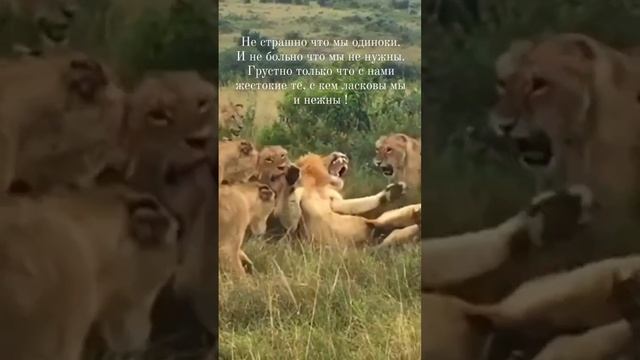 Именно так