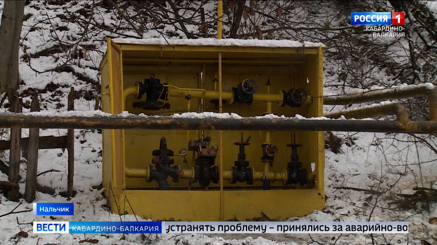 В Хасанье дерево упало на газовую трубу из-за непогоды