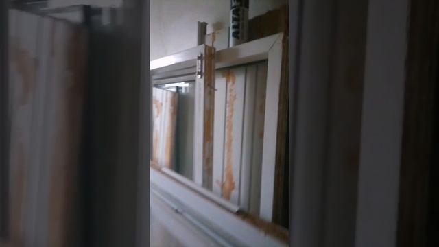 petal_20241128_234939.mp4