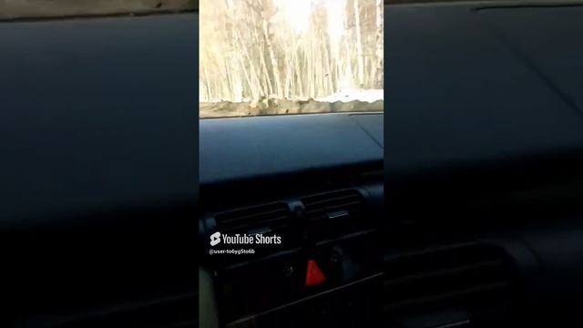 1000038302.mp4