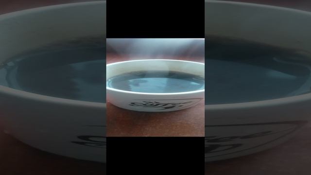 VID_20241128_105418.mp4