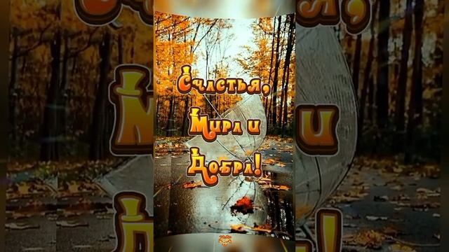 🔴С последней неделей уходящей Осени🤗🍁🍂 С добрым утречком мои друзья🥰и подписчики моего канала!