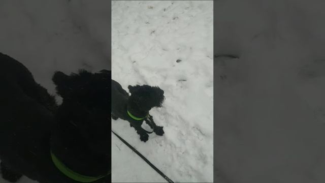 1000046676.mp4
