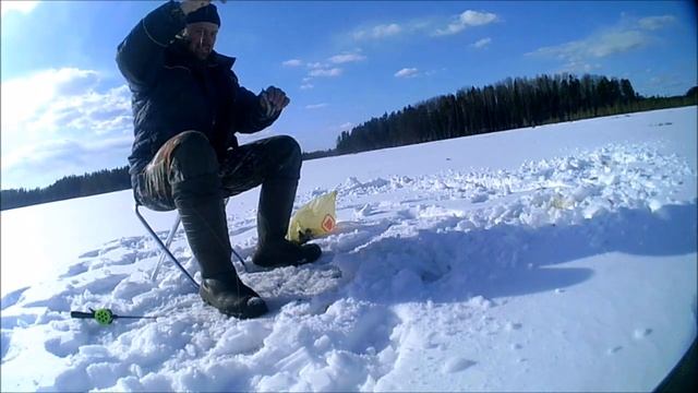 Ленинградская обл.рыбалка. БОЛОТНЫЕ ОЗЁРА .ЧЁРНЫЕ ОКУНИ .ТРЕТЬЯ  РЫБАЛКА .КОНЕЦ АПРЕЛЯ  .