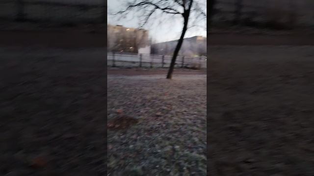 Восход солнца и Бони