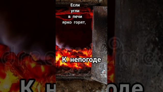 Подметелью белой