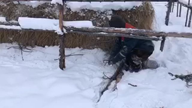 За сеном на ДТ-75