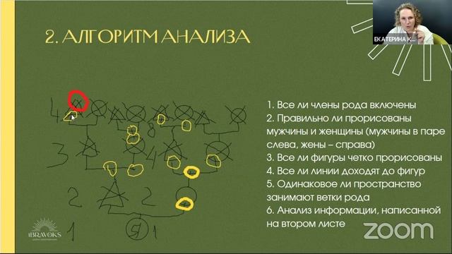 Знакомство с Родом. Геннограмма Рода