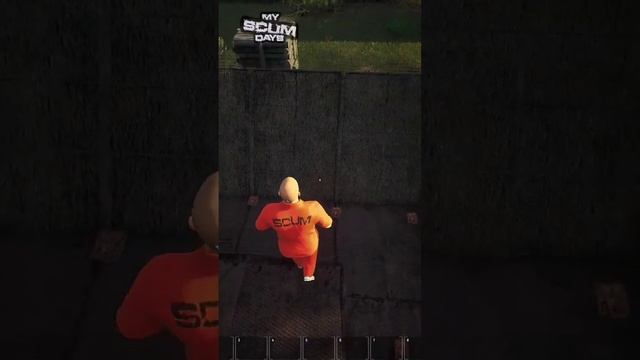 Миссия оказалась невыполнима#shorts #gameshorts #gamefails #fails #scum #scumday #MyScumDays #likee