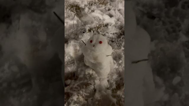 Слепили снеговика