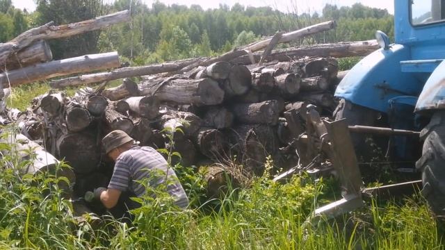Трелёвка Дуба на Т-40 на могильнике леса.  Maksim TechnikPRO