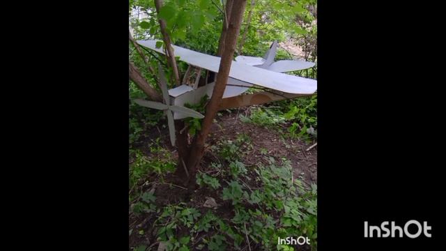 1000019493.mp4