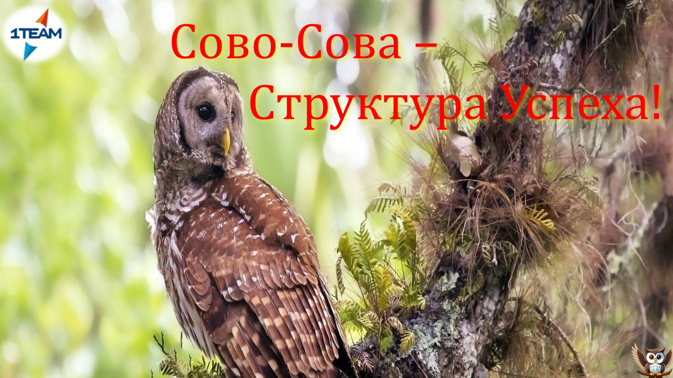 Третий Бизнес семинар Команды 1 TEAM. 11.02.2023 г.