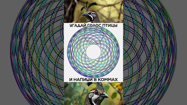 Чей голос?