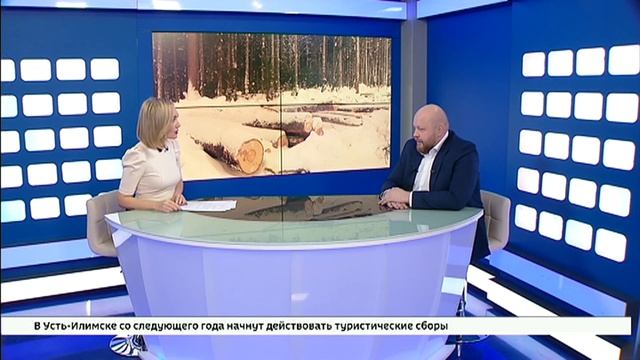 Количество незаконных рубок леса в Иркутской области значительно сократилось