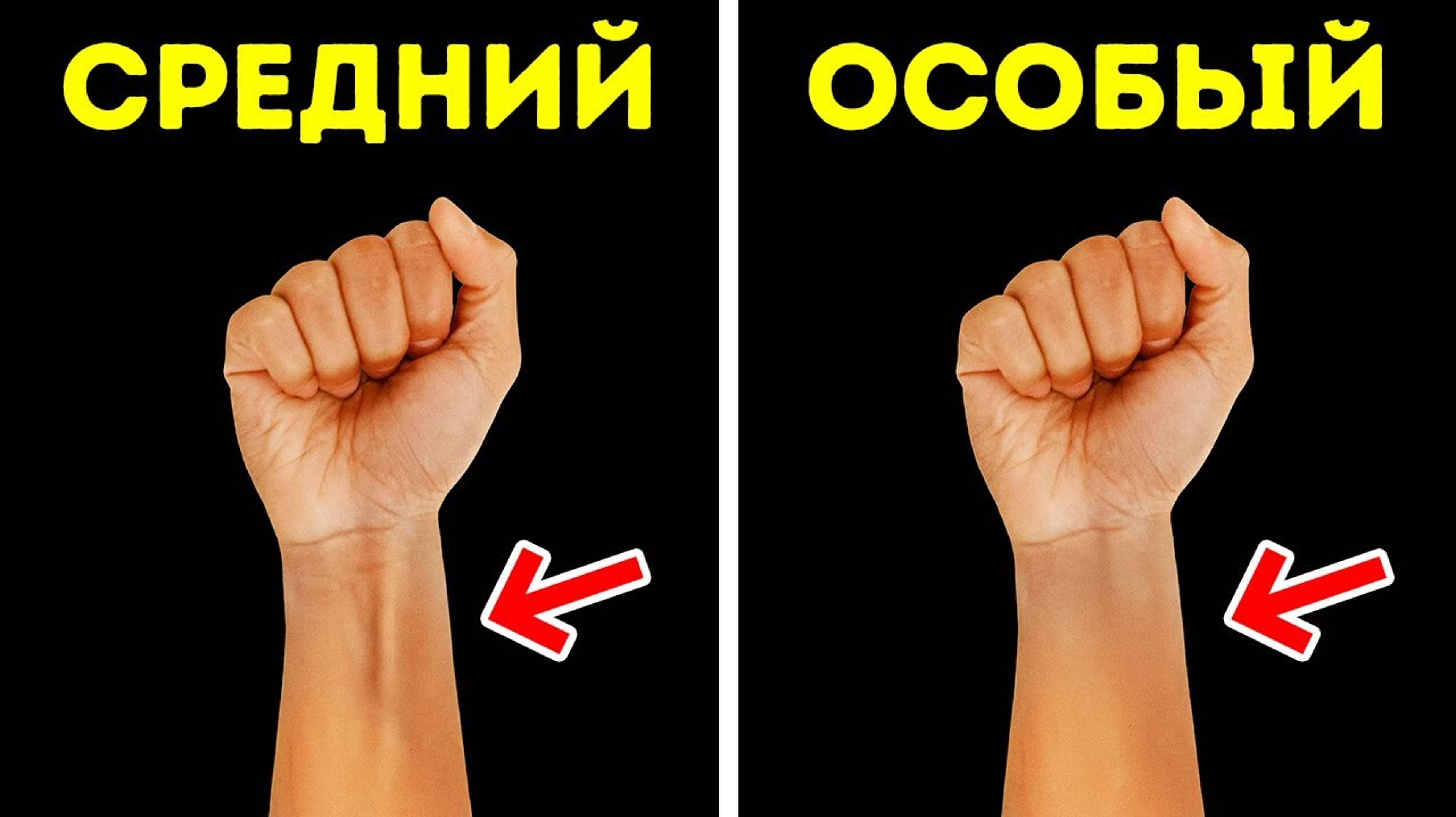 Факты о теле, доказывающие, что вы сложнее компьютера. Анатомия человека в деталях