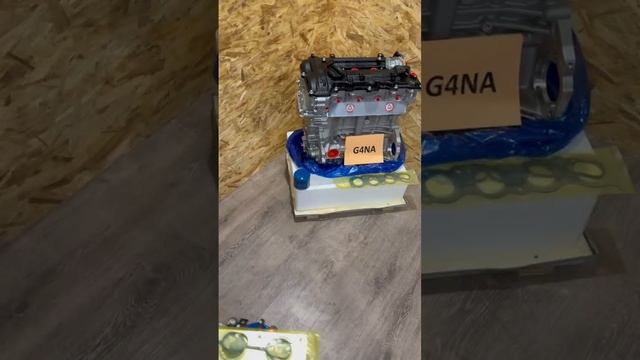 g4naDVS (3)