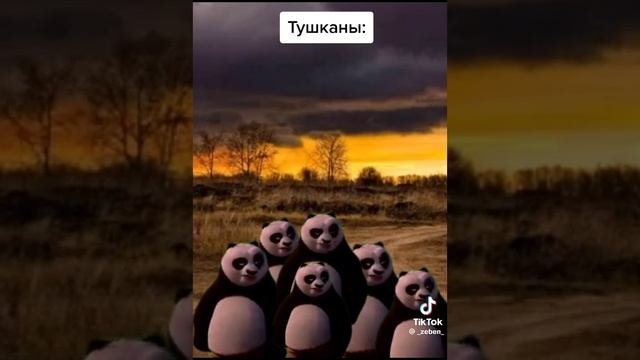 1000007948.mp4