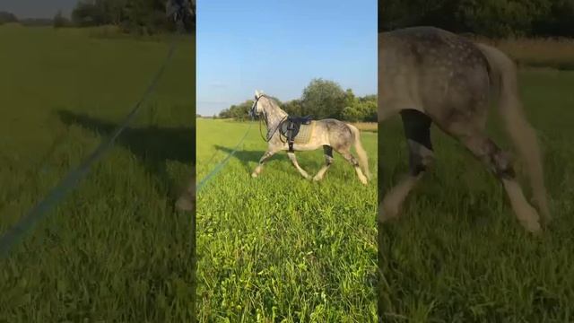 1000006298.mp4