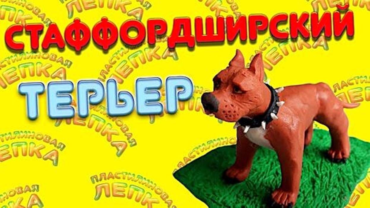 Как слепить  собаку  СТАФФОРДШИРСКИЙ ТЕРЬЕР
