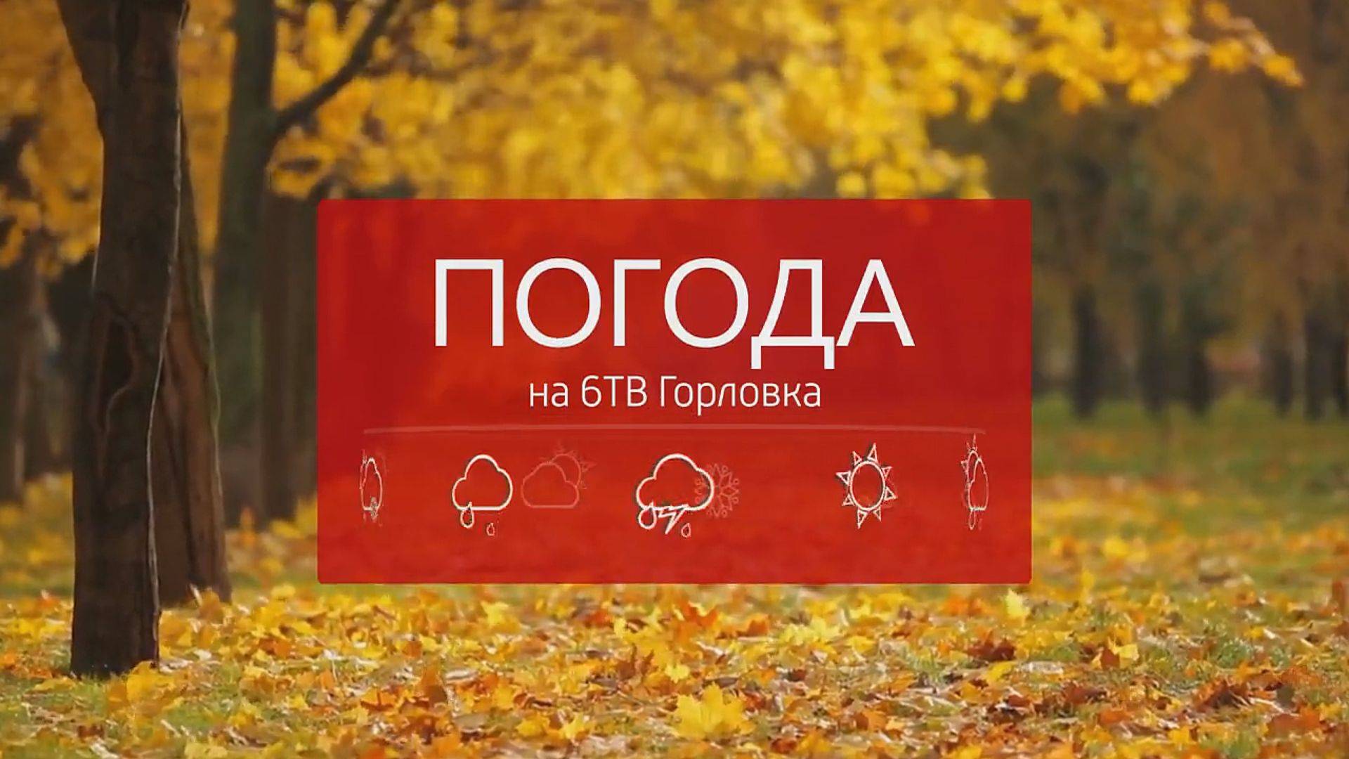 Погода на телеканале 6ТВ 29.11.2024г.